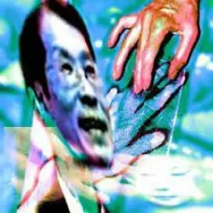 Yabujin — VIRTUAL BIRDS