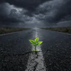 Рухатись далі