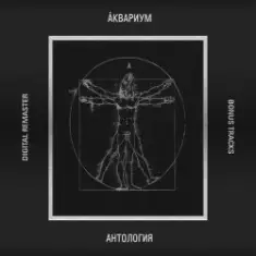 Аквариум — Движение в сторону весны