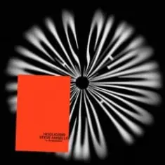 Steve Angello — Hooligans