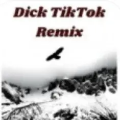 unknown — Тык дык тыг дык шабаман Байден Байден Байден (tik tok)