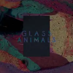 Glass Animals — Exxus