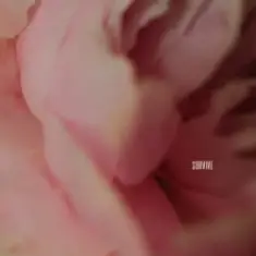 Lewis Capaldi — Survive