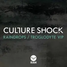 Culture Shock — Raindrops