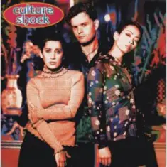 Culture Shock — Subculture