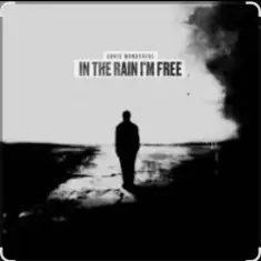 Chris Wonderful — In The Rain I'm Free (Reimagined)