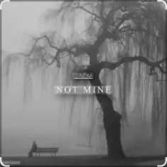 DNDM — Not Mine (Extended)