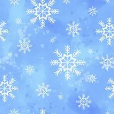 unknown — Новый год 2025