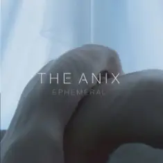 The Anix — Hollow