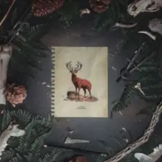 Of The Trees & LYNY — Hollow