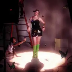 Bell Curve — New Me