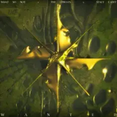 What So Not & The Upbeats — Wanted