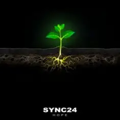 SYNC24 — The Frog and the Bubble