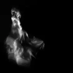 Anna Petrash — Цвіт