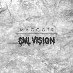 Owl Vision — Maggots