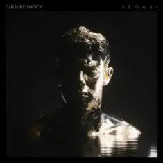 Sub Focus feat. Culture Shock — Move Higher