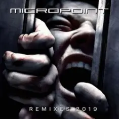 Micropoint — Schizophrenic Park (Campus Shooter Mix)