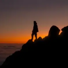 Martin Garrix — Catharina