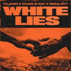 Tujamo & Charlie Ray & imallryt — White Lies