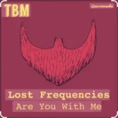 Lost Frequencies — Are You With Me