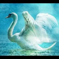 Save Me (Swan Lake)