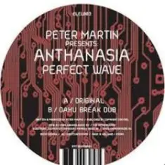 Peter Martin pres. Anthanasia — Perfect Wave