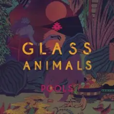 Glass Animals — Love Lockdown