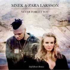Mnek vs. Zara Larsson — Never Forget You (Stefiibeats Remix)