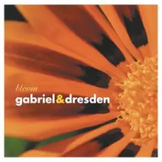 Gabriel & Dresden — Lament