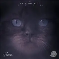 Dusty Kid — Feelers (Original Mix)