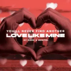 You'll Never Find Another Love Like Mine (Dj Dark & Mentol Remix)