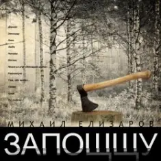 Михаил Елизаров — Дорога