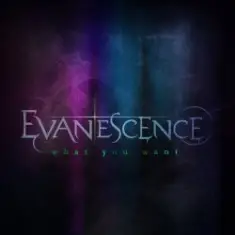 Evanescence — What You Want (Elder Jespon remix)