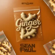 Sean Paul — Ginger