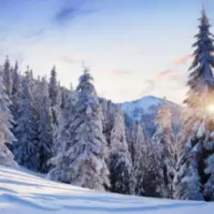 Y.K. MUSIC — ОЙ, КАРПАТИ - БІЛІ ШАТИ