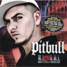 Pitbull ft. Lil' Flip — Dammit Man (Remix)