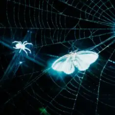 MOTHICA — Toxins (Remix)