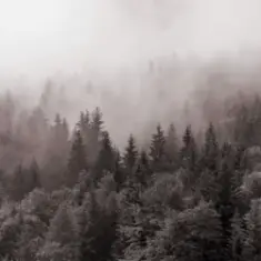 Y.K. Music — У Тумані