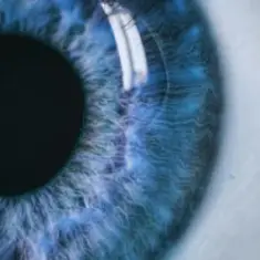 Vibfy — Dont Fade Away