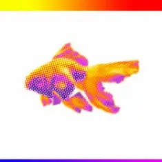 Bensley & flowanastasia — Watch Your Step