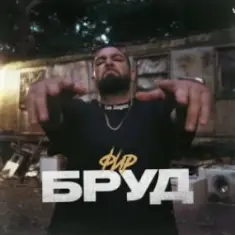 Фир — БРУД