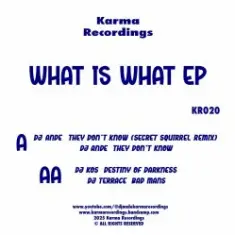 DJ Ande & DJ KOS & DJ Terrace — They Don't Know (Secret Squirrel Remix)