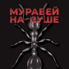 KRBK — Муравей на суше