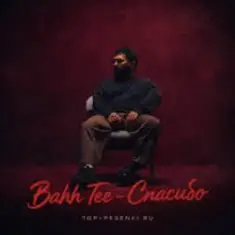 Bahh Tee — Спасибо