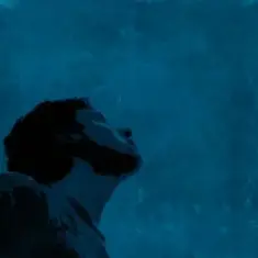 Flegmatique — Пламенный закат