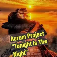 Aurum Project — Tonight Is The Night