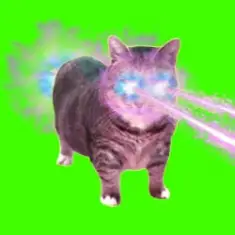 XertXetin — OIIA OIIA COSMIC Spinning CAT