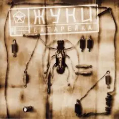 Жуки — Батарейка