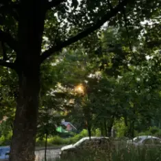 ALEKCION — Memories