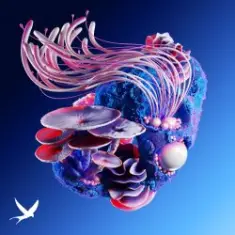 Korolova & MotherEarth feat. Tyoz — Nightshapes